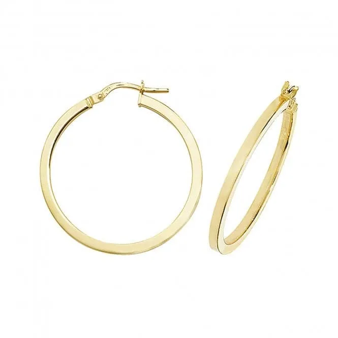 9ct Yellow Gold Oval Hoop Earrings ER947