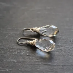 Pendeloques Crystal Drop Earrings