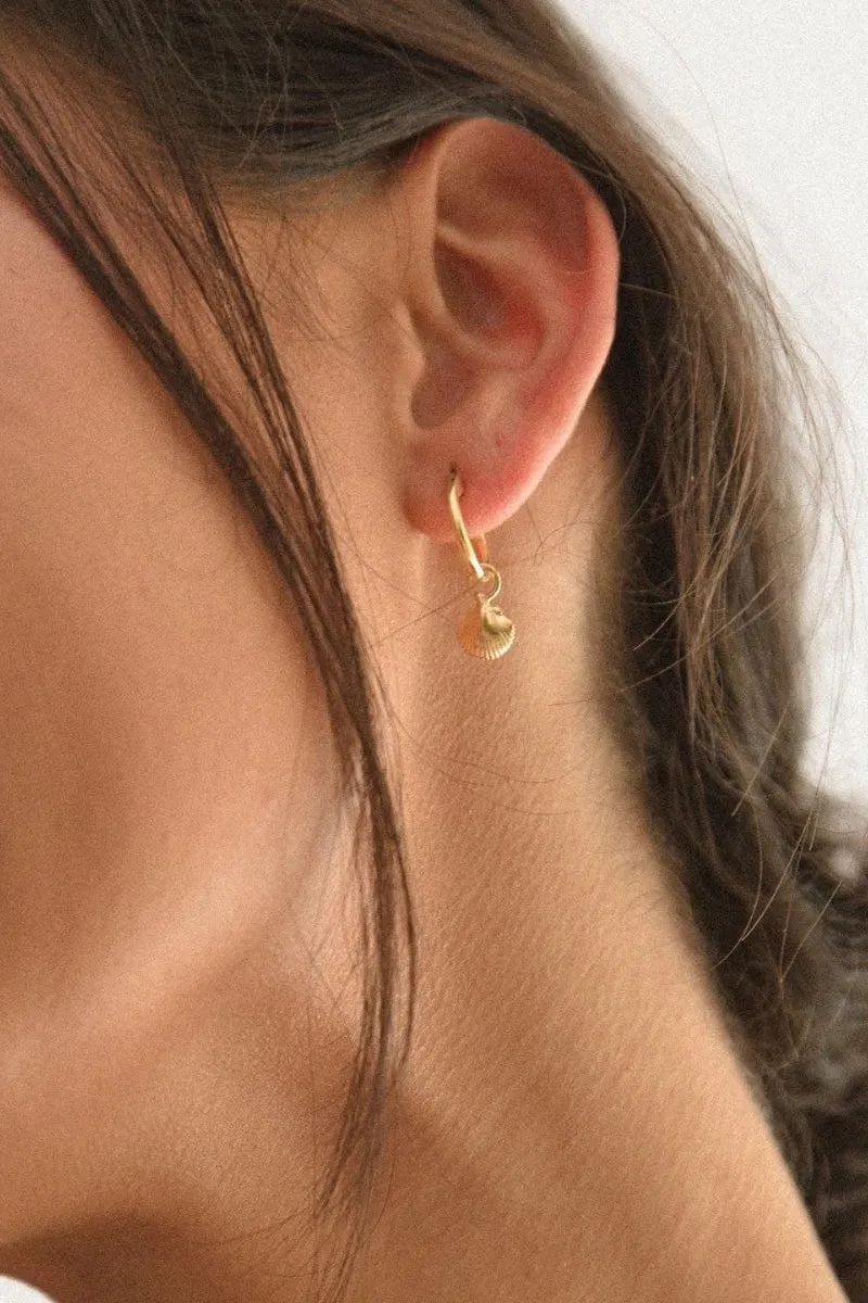 Petite Shell Earrings - Gold