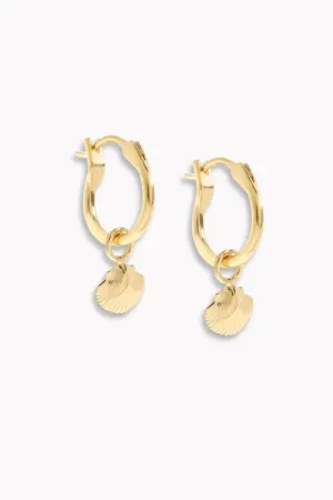 Petite Shell Earrings - Gold