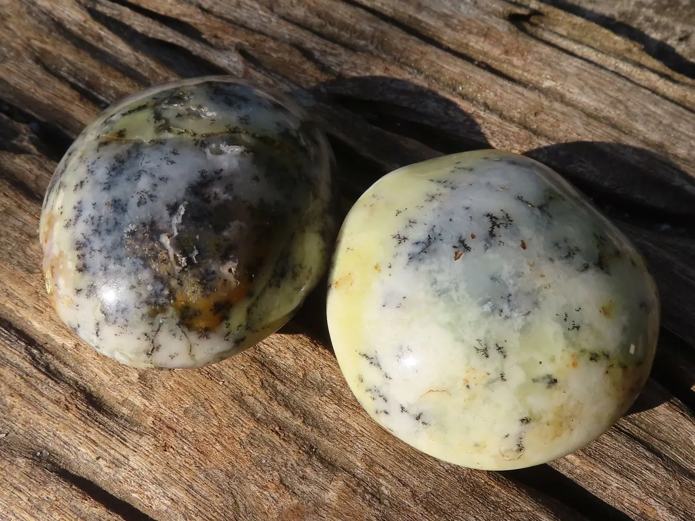 Polished  Dendritic Opal Galet / Palm Stone x 7 from Madagascar