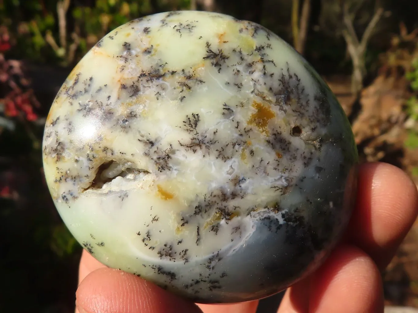 Polished  Dendritic Opal Galet / Palm Stone x 7 from Madagascar