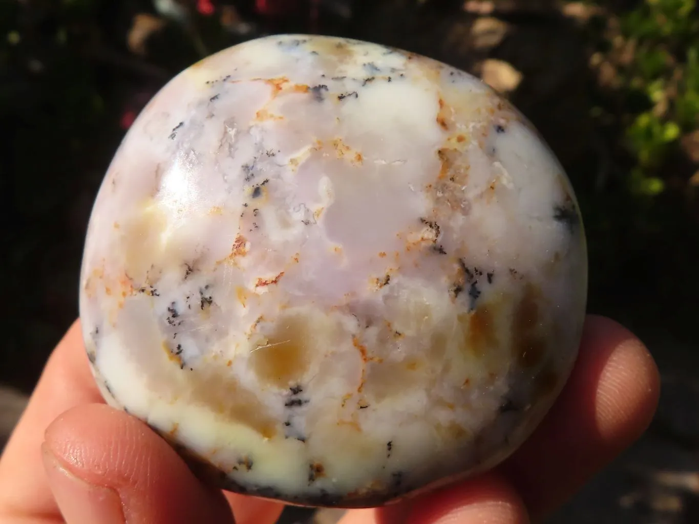 Polished  Dendritic Opal Galet / Palm Stone x 7 from Madagascar